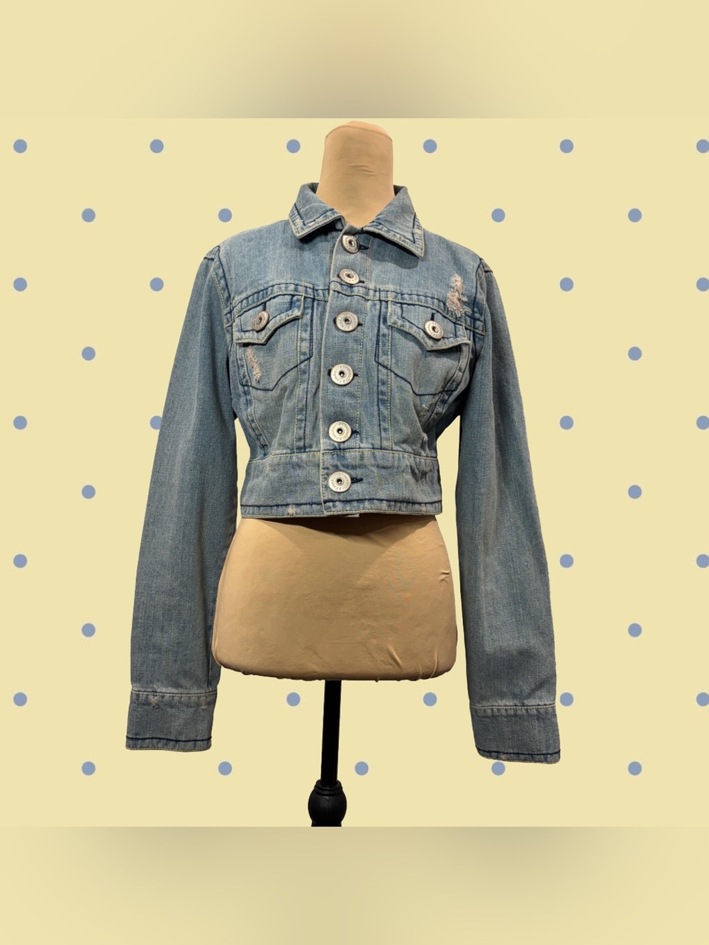 Z. Cavaricci Cropped Jean Jacket | Women’s M